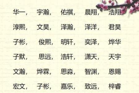 测八字名字