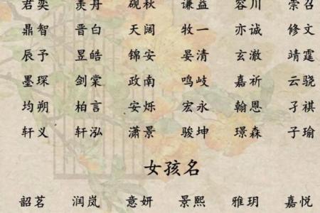 八字在线取名