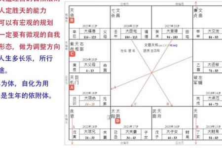 人生紫薇斗数