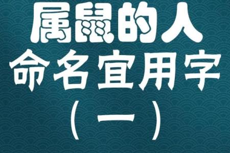 如何给下午3点出生的属鼠男孩起名字姓名