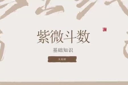 武广盛紫薇斗数
