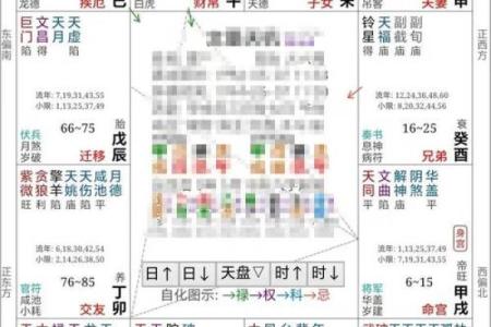紫薇斗数在线分析免费