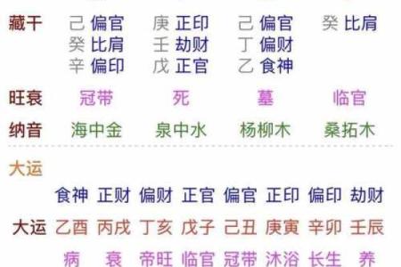 八字丁亥丙午大运
