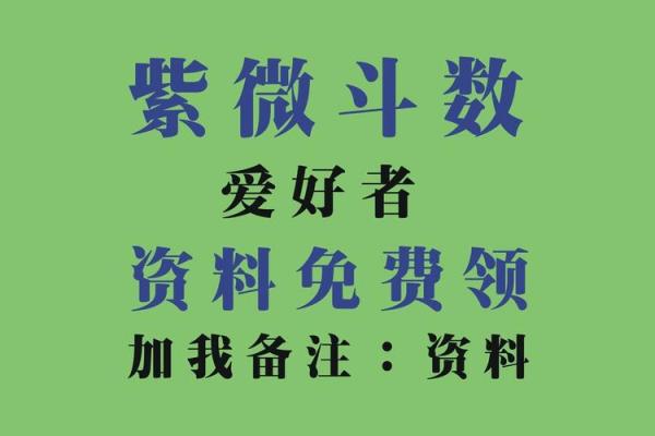 看紫薇斗数的app
