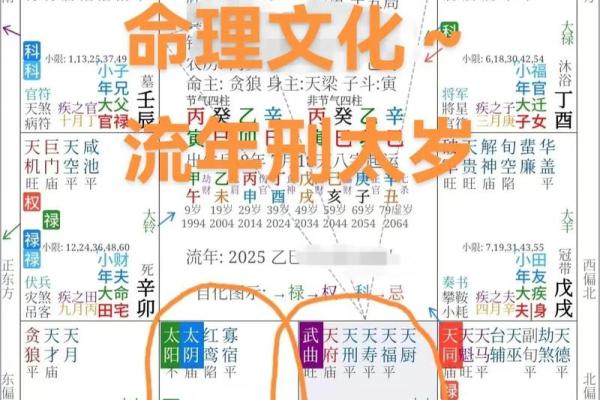 揭秘 紫微斗数VS八字：命理学中隐藏的惊人差异？