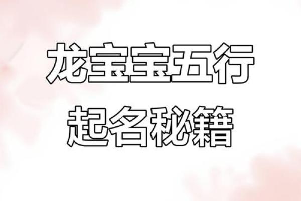 八字取名大全：以木水八字为中心的实用取名指南
