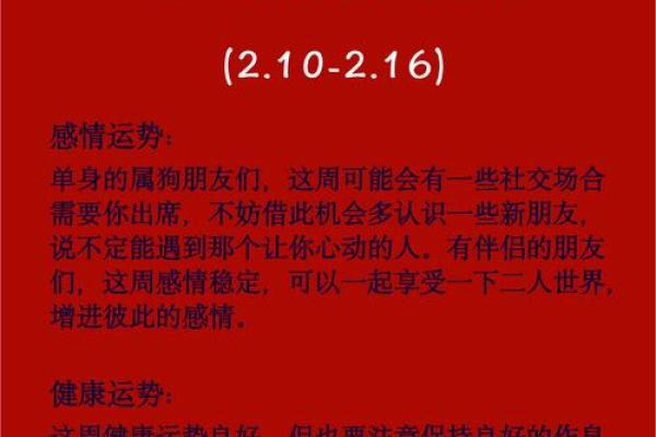 1994年生肖狗命的八字分析与运势预测