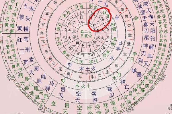 紫薇斗数命宫位置