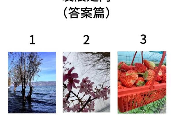 塔罗测试：未来三个月，哪方面你会获得成功？