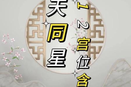 紫薇斗数田宅天同