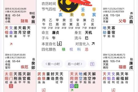 看紫薇斗数的app