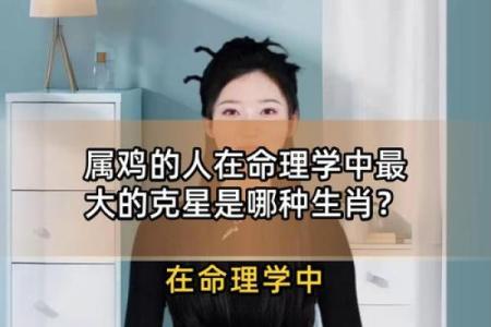 今年运势算命属鸡男