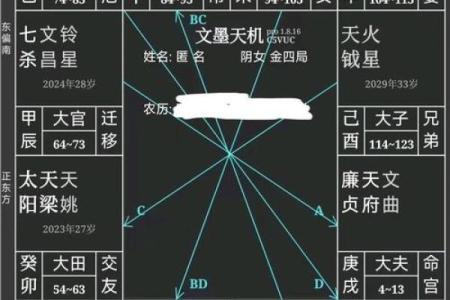 紫薇斗数自学看