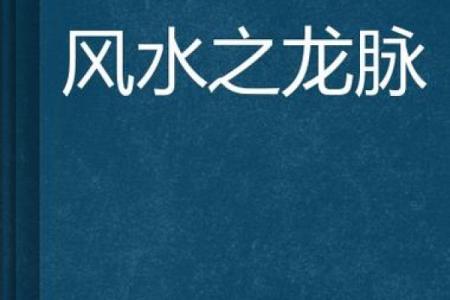 更好的风水_更好看的风水小说