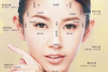 面相算命鼻子