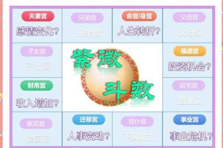 紫微斗数怎样看什么人工作上带发展前景