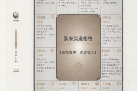 古占和紫薇斗数哪个看的准