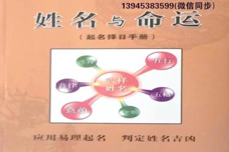 十一月份出生的属狗男孩应该名字该怎么取姓名