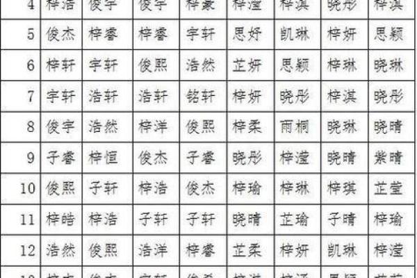 2019年6月10号子时出生的男孩应该起什么样的名字姓名