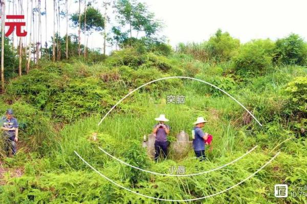 阴宅的周围山路风水，有何讲究
