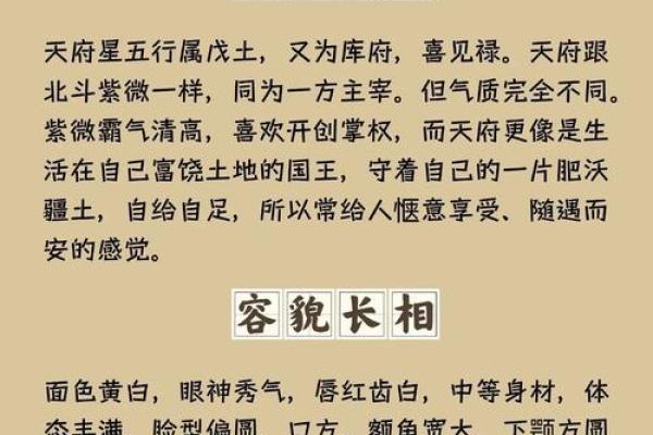 紫薇斗数官方网