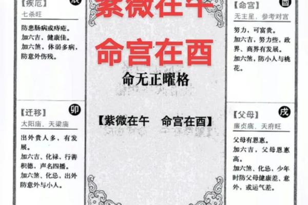紫薇斗数官方网