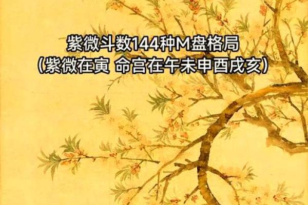 紫薇斗数高人解盘