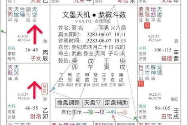 紫微斗数入门--身宫