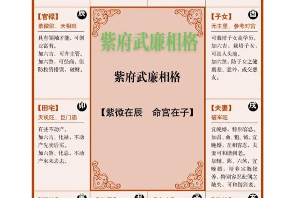 紫薇斗数命宫一生财运
