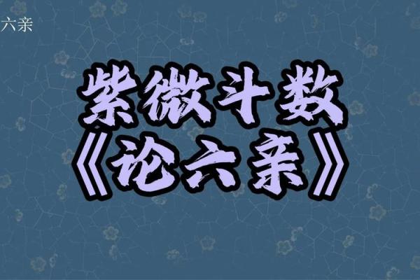 紫薇斗数小说