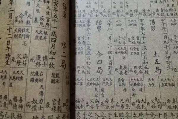 紫薇斗数流年财运1