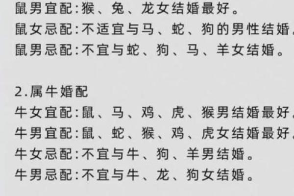 算命的说狗和猪好不好