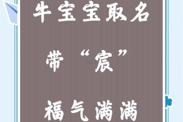 农历四月的牛宝宝取什么名字好,取名单字寓意佳姓名