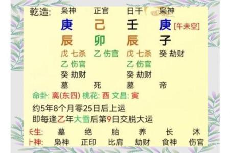 八字伤官配印的命理分析