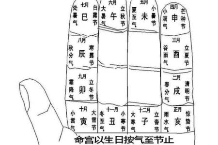 身体上的胎记位置不同算命分析