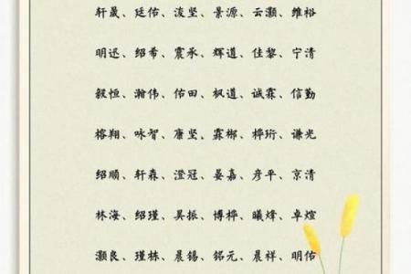 周易名字打分免费 周易起名打分测试