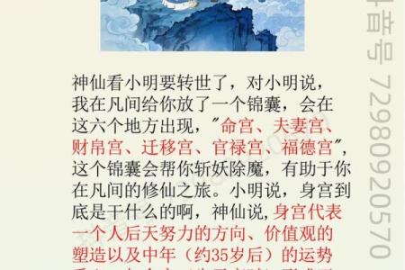 紫微斗数入门--身宫