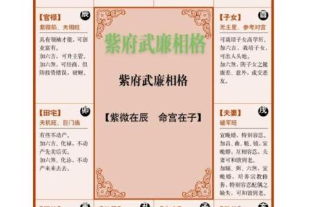 紫薇斗数命宫一生财运