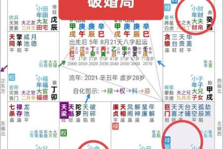 紫微斗数之夫妻宫与诸星,天同星在夫妻宫是什么意思？