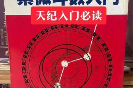 紫薇斗数入门书籍推荐