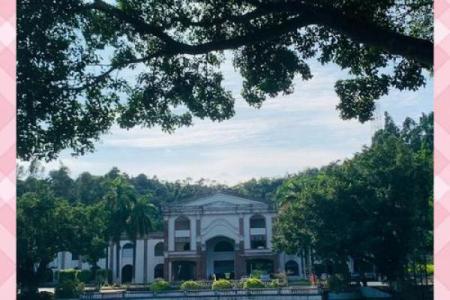 杨四将军灵签十六求学业