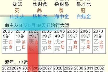 行年和流年是什么意思  八字排盘大运是什么意思