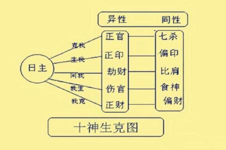 八字中的十神