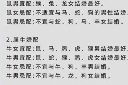 算命的说狗和猪好不好
