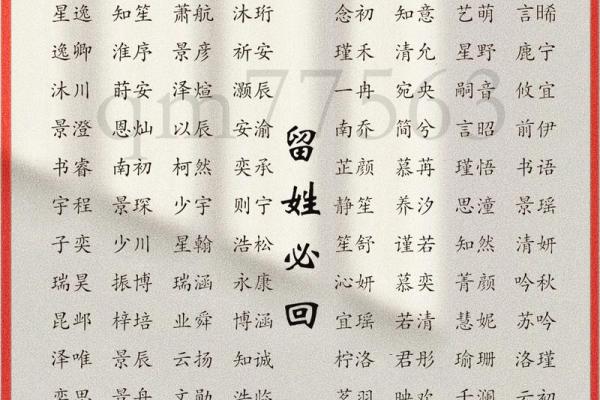 高分取名-2024年元旦节出生的宝宝八字起名字