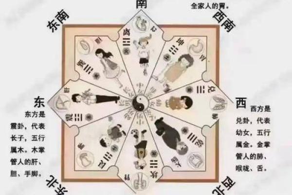 人养风水，如何养风水