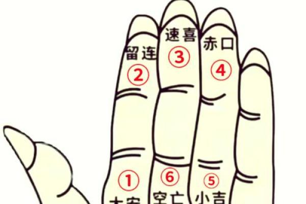 紫薇斗数小六壬