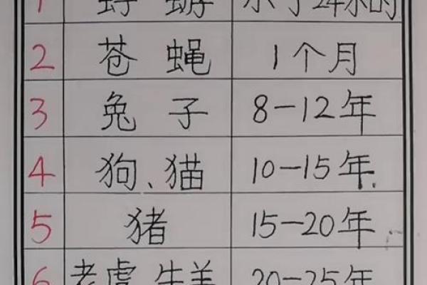 根据名字测试你是什么动物  本命动物测试