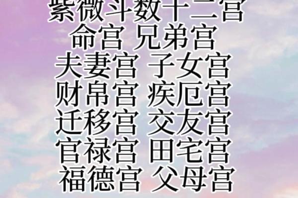 紫薇斗数科