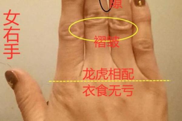 看手相算命：第二课 婚姻感情